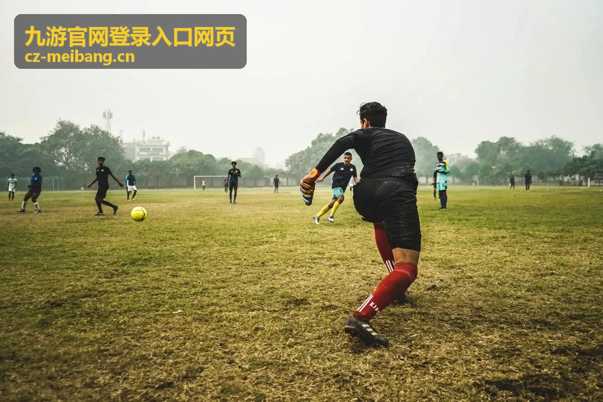 九游官网登录入口网页验证码与图形验证环节示意