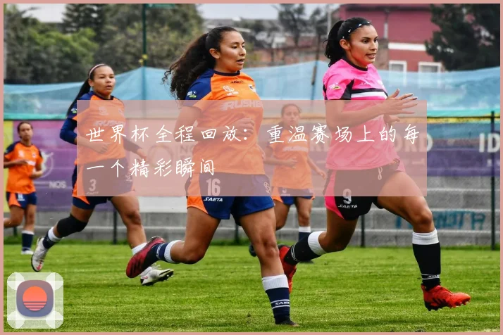 世界杯全程回放：重温赛场上的每一个精彩瞬间