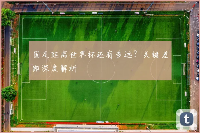 国足距离世界杯还有多远?关键差距深度解析