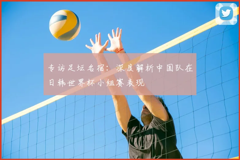 专访足坛名宿：深度解析中国队在日韩世界杯小组赛表现