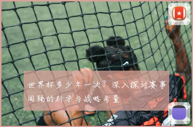 世界杯多少年一次？深入探讨赛事间隔的科学与战略考量